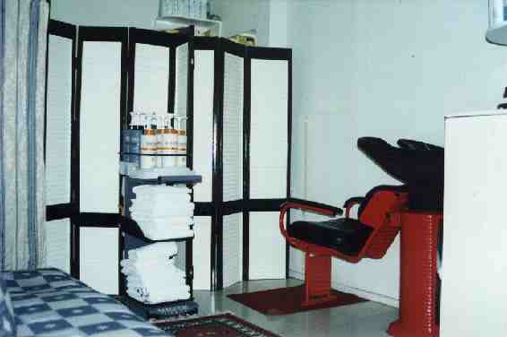 cos_sal2.jpg (15123 bytes)