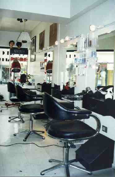 cos_saln.jpg (16586 bytes)